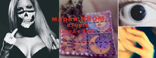 мдпв Няндома