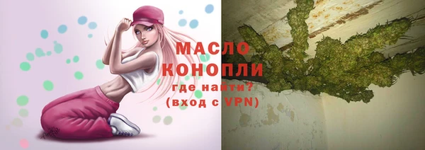 мдпв Няндома