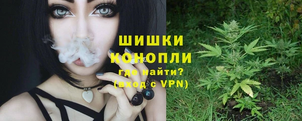 мдпв Няндома