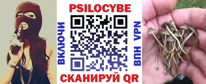 Псилоцибиновые грибы ЛСД  где найти наркотики  Адыгейск 
